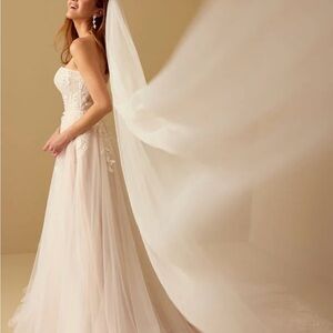 Cathedral Style Veil